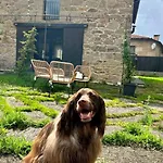 Galicia Retreat By Interhome بيت للعطل Cerdedo